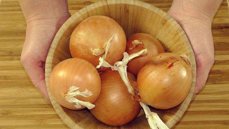 ������ ����� � �������� ����: ������������� ������ ��� ������ �����