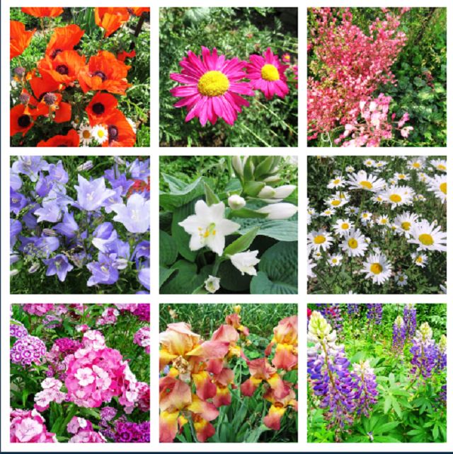 �������� ������������ ����: �������� ������ ��� ������