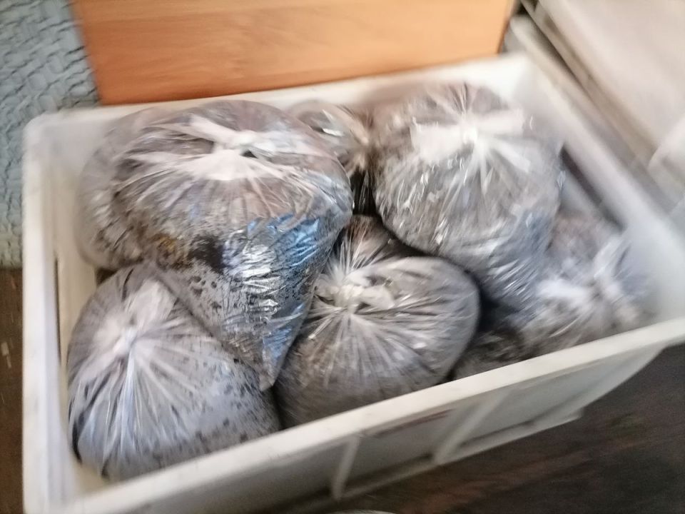 ������ ����� ��� ������� �������