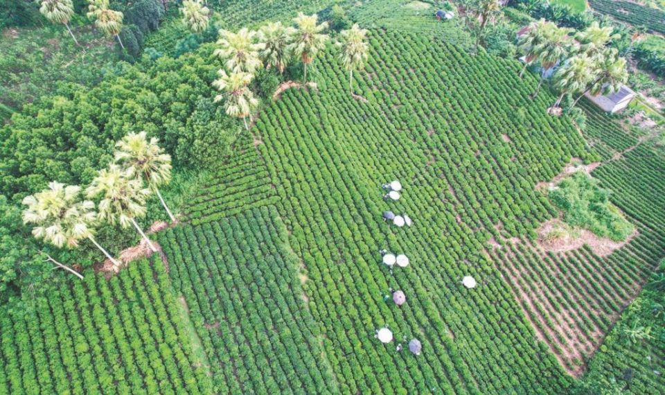 ������ ������������ ������� ������� �� ���� ������