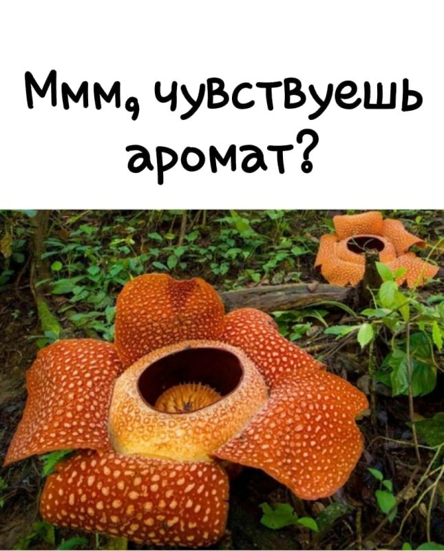 �������� �������� �������: ������������ � ������ �������� � �����