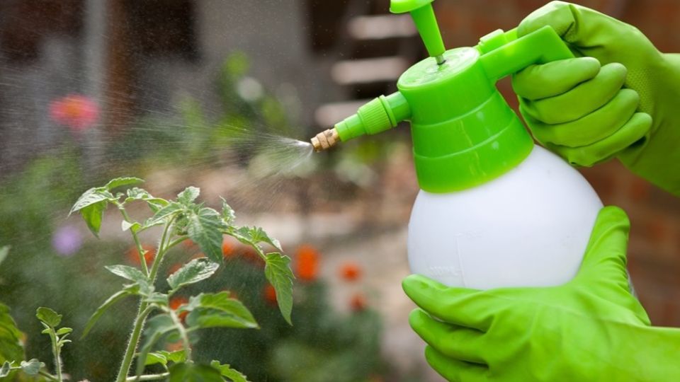 ��� ������� ������������ ����� ����������� ���� �������