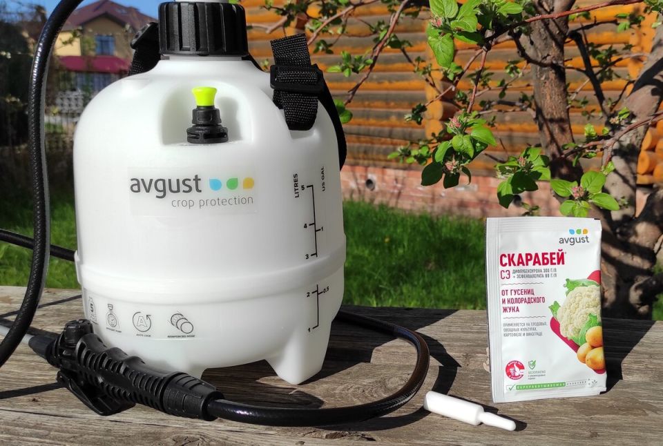 ��� ���������� �������� ����������: ������� ���������� ��������� �������� "��������"