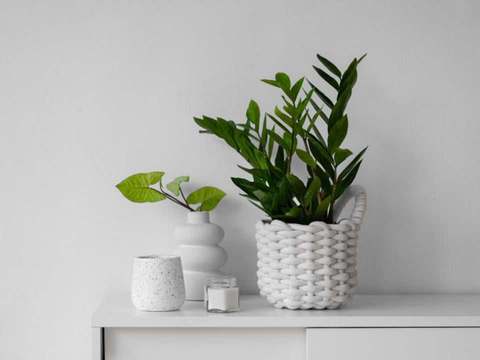 ������ ������ ����� ��������� �������� ������� � ��� ��� ���������?