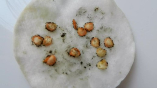 ��� ��������� ����������� ����� � �������� ������� ������ �������� �����