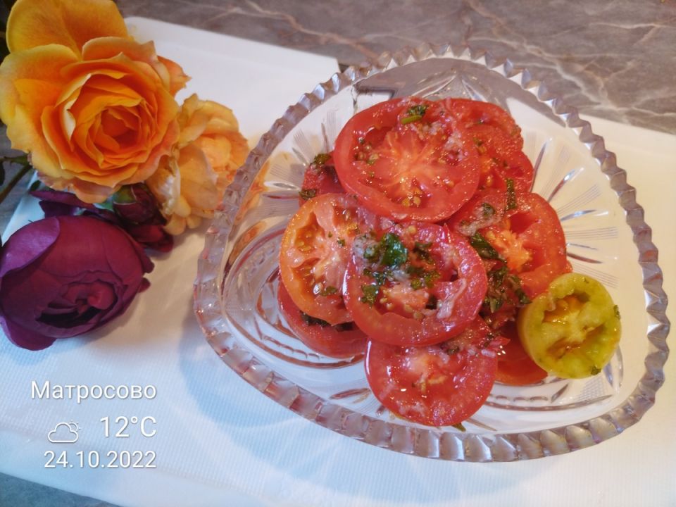 ������������� �������� ������� ������