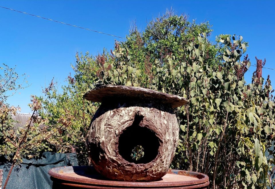 ��������� �������� ��� ����: ���������� ������ � ������������ ������