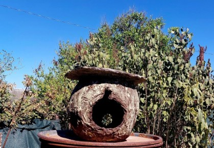 ��������� �������� ��� ����: ���������� ������ � ������������ ������