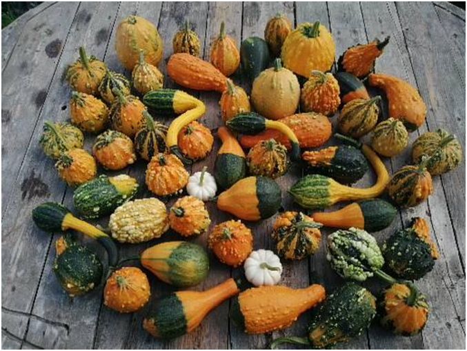 ��� ��������� ����� ������������ �����: ������� � ������