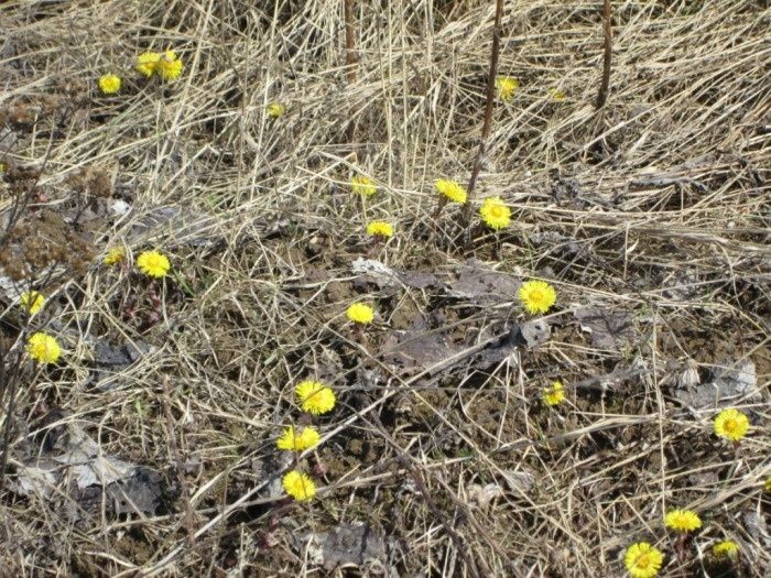 ���������� ����-�-������: �� ������ �������� ������, �� � ���������� ������ �������