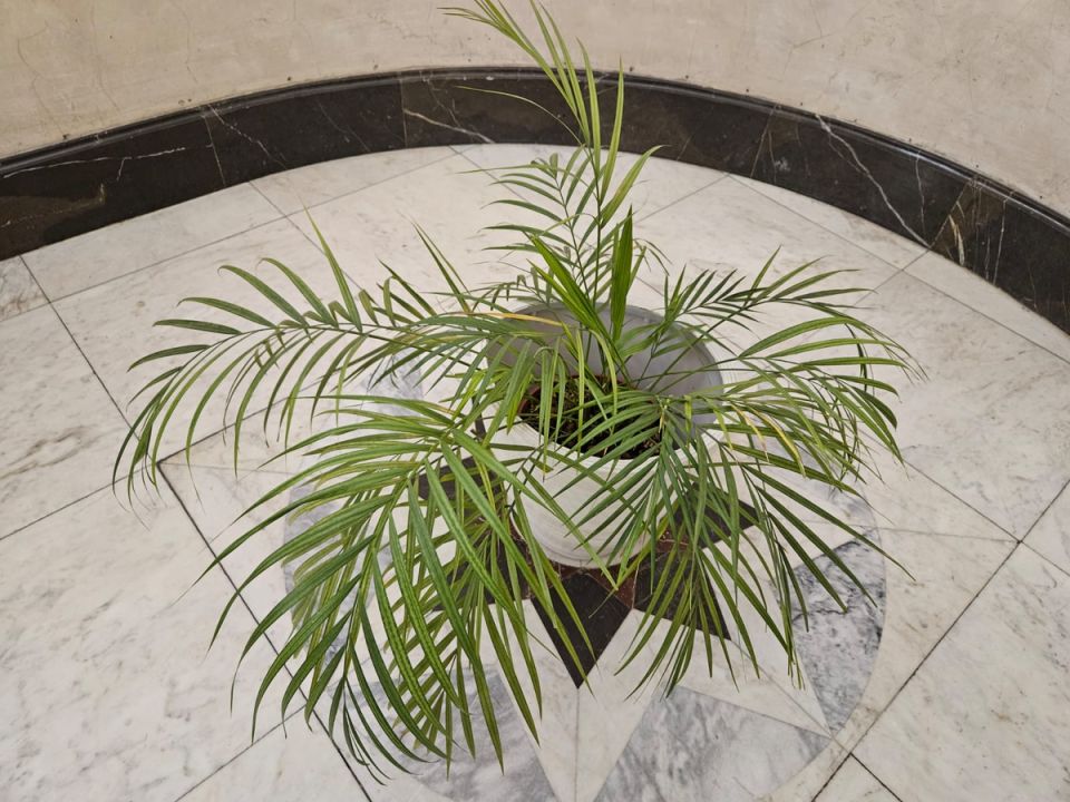 ����� ������ �������: ������ �������� �������� � ��������, �� ������� �������� ������� ����