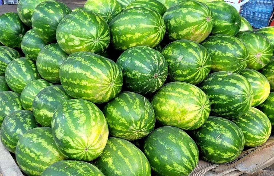 ��� ������� ��������� �����: ������� � ������