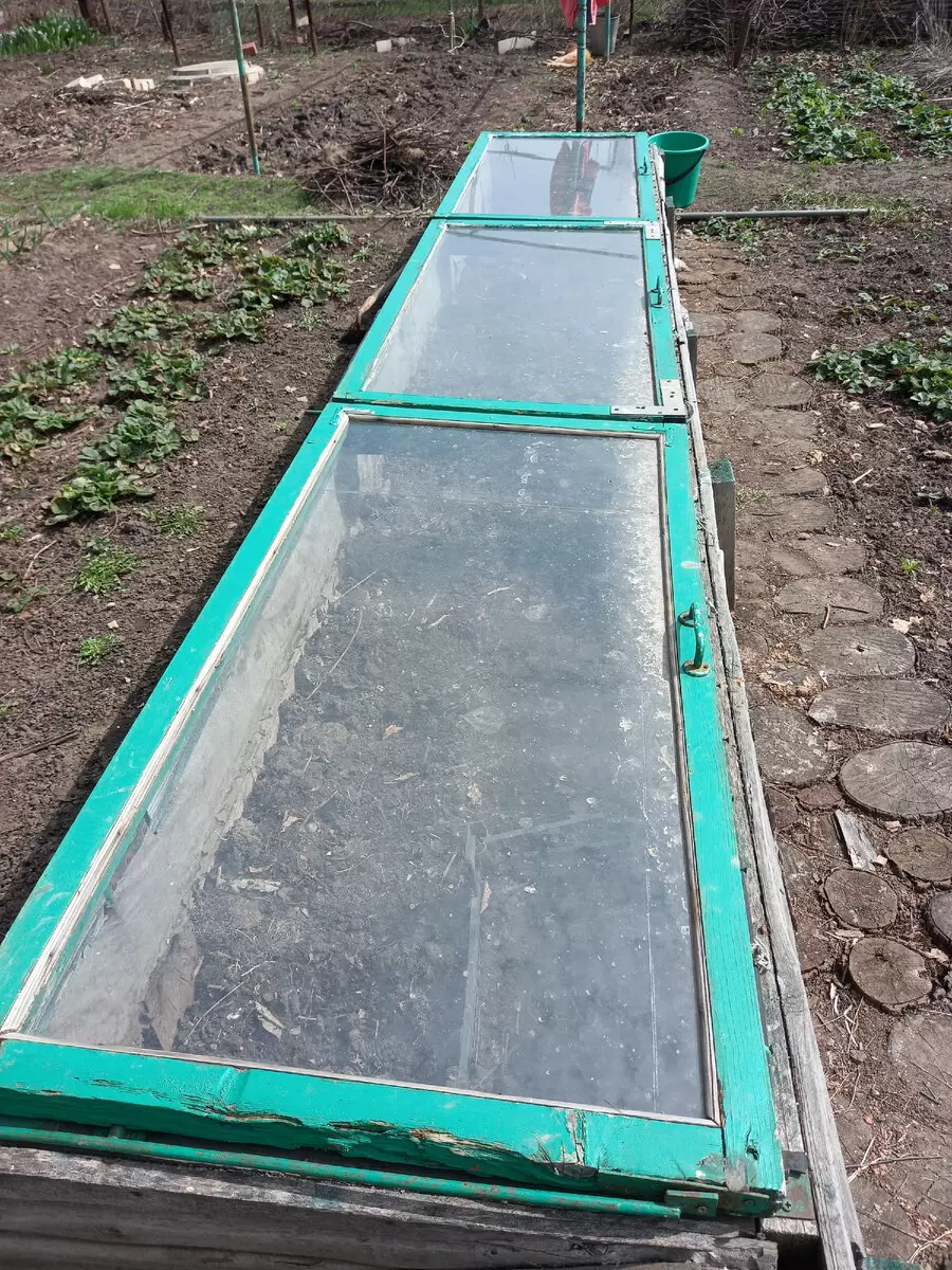 Эффективное использование теплицы: советы и рекомендации