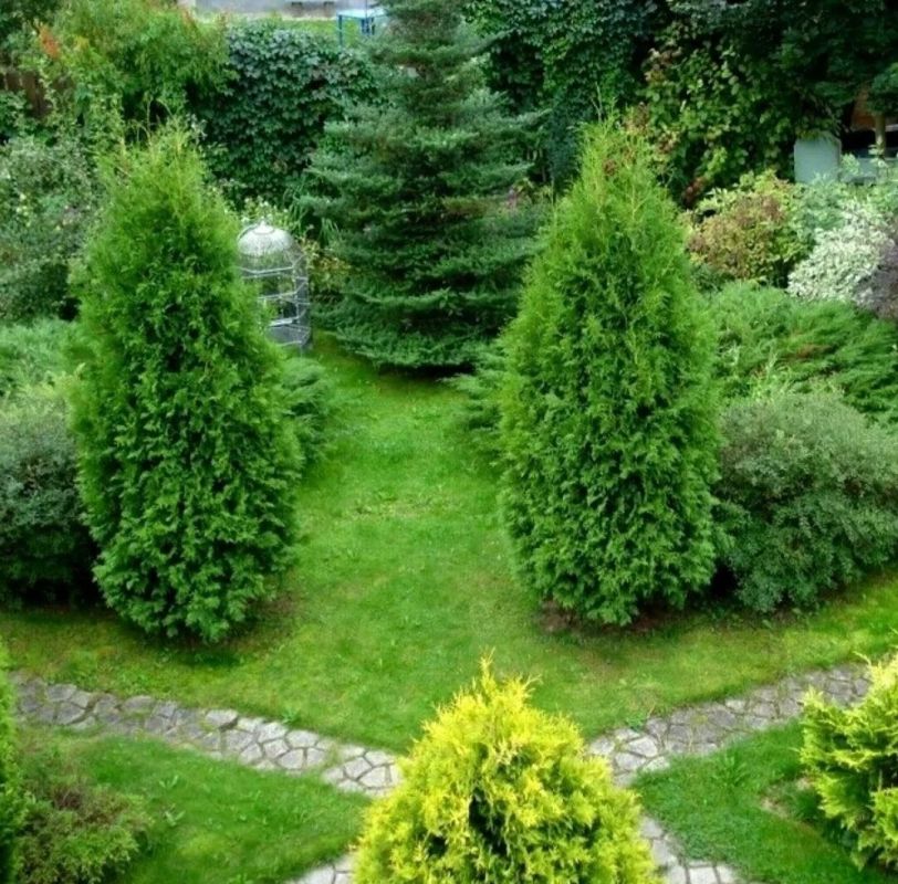 ��� �������: ��� ������� ������� ������ � ����� ����