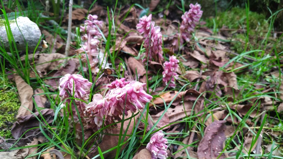 ������� �������� �� �������: ��� ���������� � �������� ��������� �����