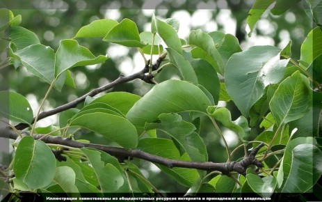 �����: ����������� ������������ ��� ������ ����