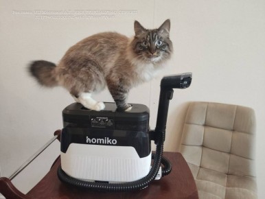 ������ ��� �������: ��� ������� ������� ����� ������ ��� ��������