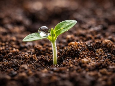 ��� ������� ������� ������� �������: �������, ������� ����� �����