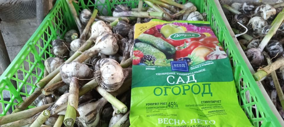 ������ ������: ��� ��������� ��������� ������ �� �����