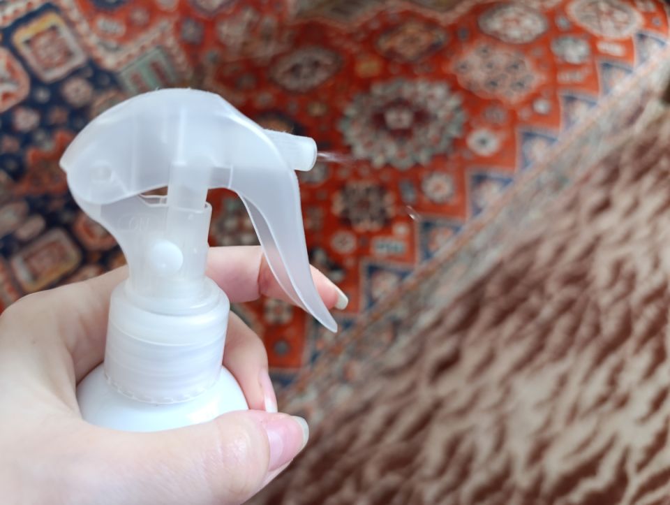 ����������� ������ ������ � �����: ������� �������� �� ������ ���������