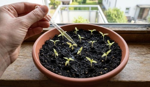 ������ ������� ������ ���� � ��� �� ������?