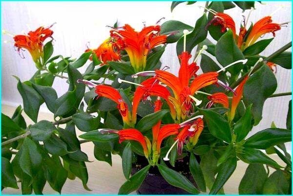 ����������: ����������� ���-����� �� ����� �����������