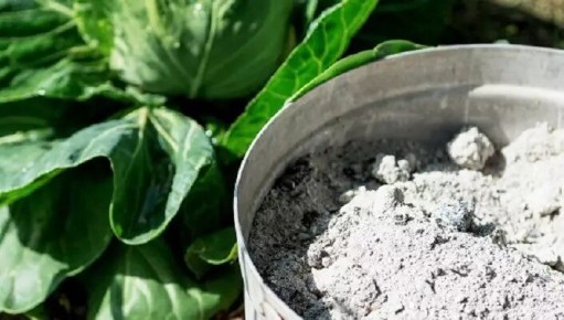 ����: ����������� �������� ��� ���� � �������