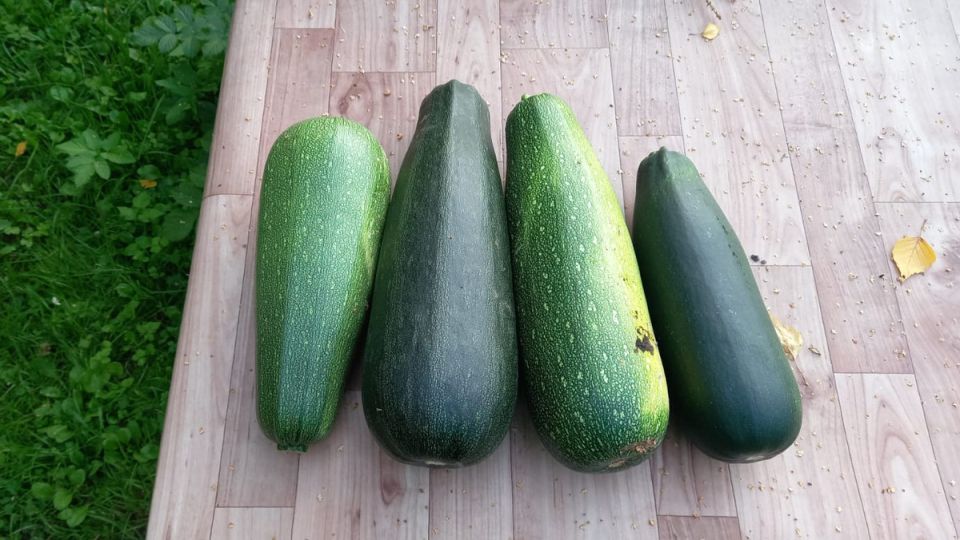 ��� ��������� ������� �� �����: ������� ���������� ������