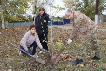 ��������� ����� ������ ������: 224 ������� �������� � ������ ��� ���������������