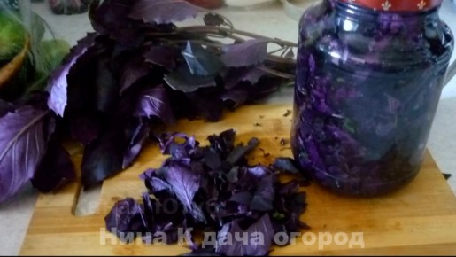 Приготовление ароматного базиликового масла на зиму