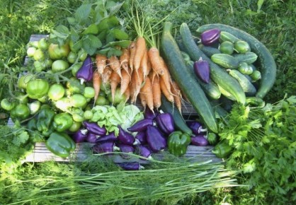 ��� ����������� ������������ ��������� � ������ ������: 6 ������� �����