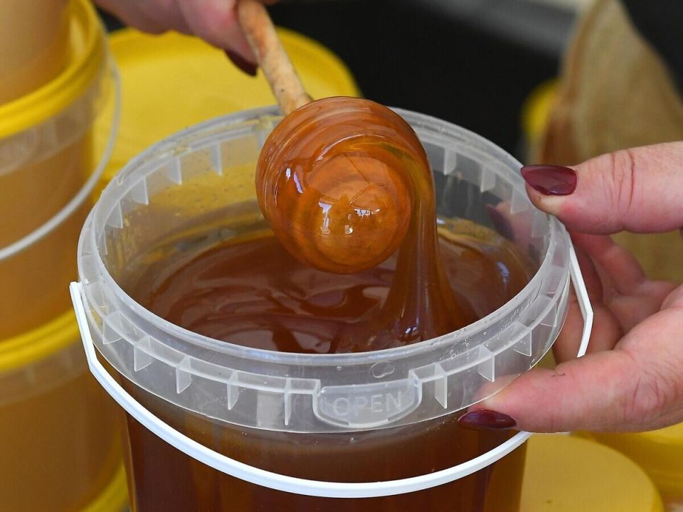 ��������, ������� ����� ����� �������� ������� ��������� ��������