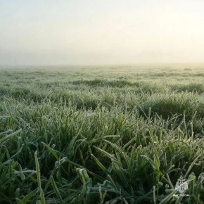 В Карачаево-Черкесской Республике прогнозируются заморозки
