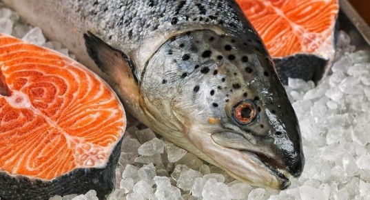 ������ �������� �� ������ �������� ����: �������� � ��������� ��� �� ������ � ������ �������������