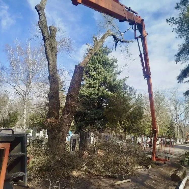 Ограничение движения автотранспорта перед Радоницей Ограничение движения автотранспорта перед Радоницей