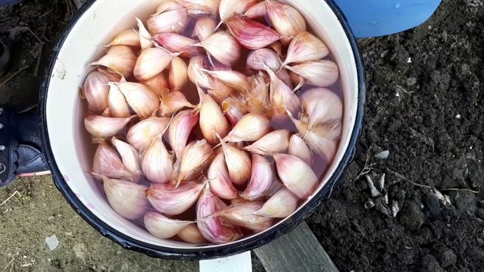 �������� ������: ������� �������� ������� � ������ � �������� ��������