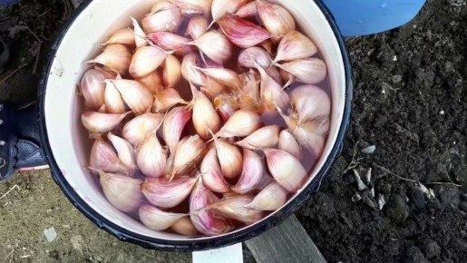 �������� ������: ������� �������� ������� � ������ � �������� ��������