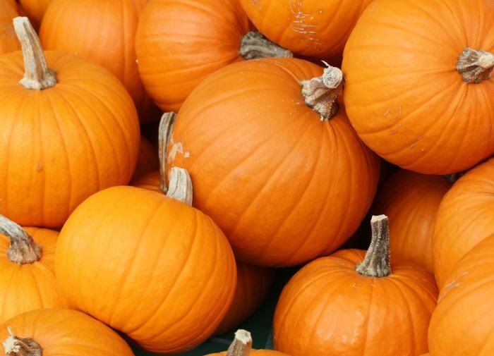 ������� ��������� ����������� �����: ����� � ��� �������� �������