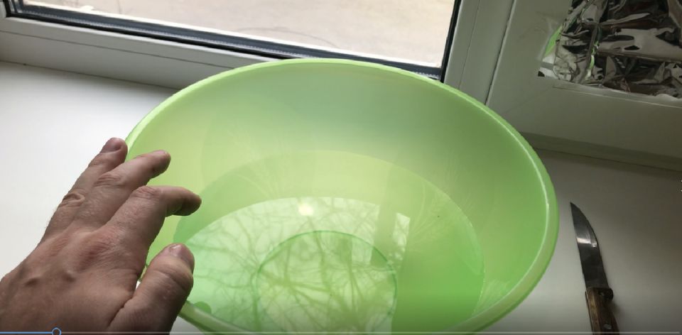 ��� ������ � ���������� ������� ����� ��� ������ ����: ��������� ���������� ��� ��������