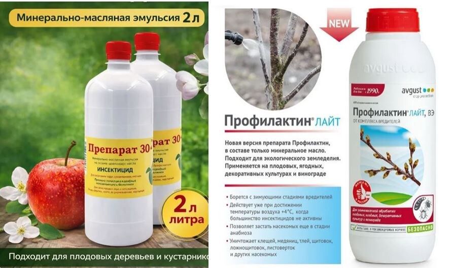 ��� ������� ������������� ����� ��� ������ ����: ���� � ����������