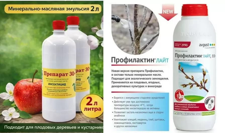 Как выбрать инсектицидные масла для вашего сада: мифы и реальность