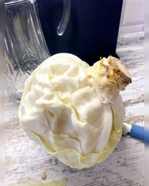 ������ ������� ������������