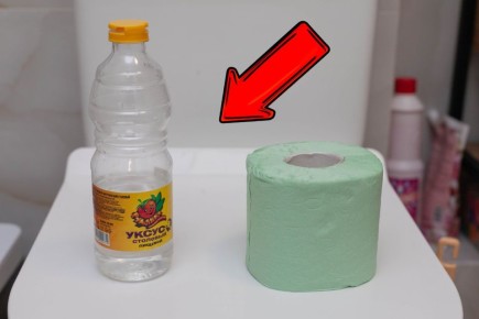 ��� ����� � ��������� ������ ������ ������: ����������� �������