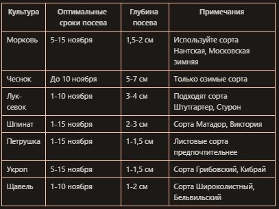 ����� ��� ����: ��� �������� ������ ������ ������