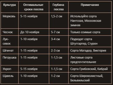 ����� ��� ����: ��� �������� ������ ������ ������