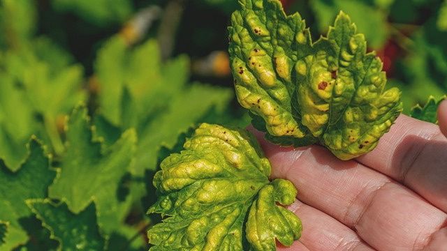 ��� ������ ��������� �� ��� � ��������� �����������