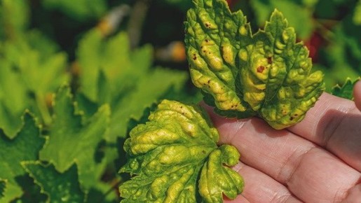 ��� ������ ��������� �� ��� � ��������� �����������