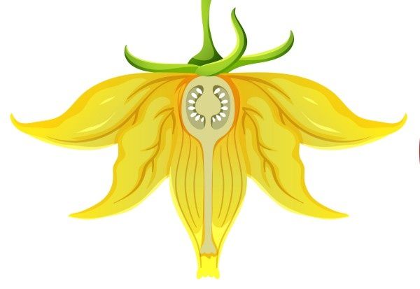 �������� ����������: �������� ���� � ����������