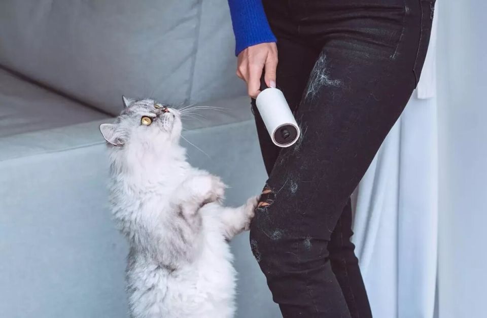 ����������� ������� ������ � ������� �������� �������� �� ����� ������