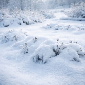 ������ ���� � ������ ������� ��� ��������